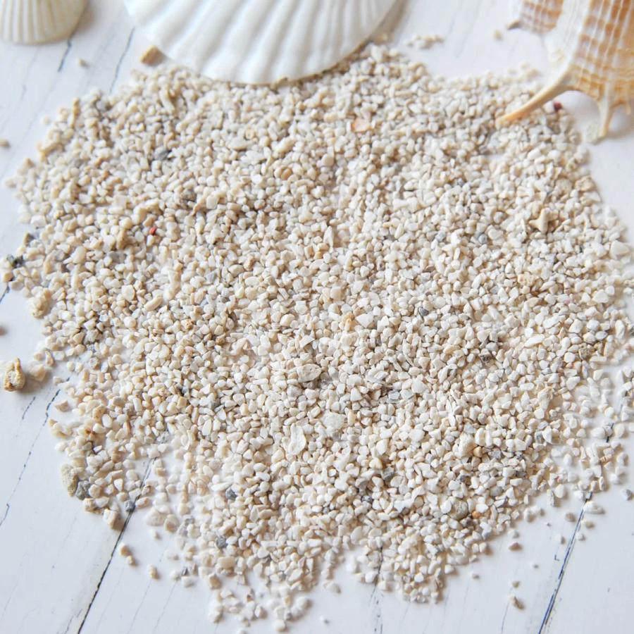 隠れ工房GreenOcean 自然素材 20g 本物のサンゴのかけら＆海の砂