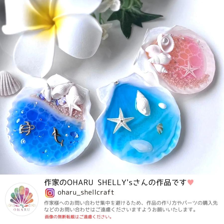 自然素材 5枚 本物のホタテ貝 ちょこっと大きめ♪ 5.5cm 6cm