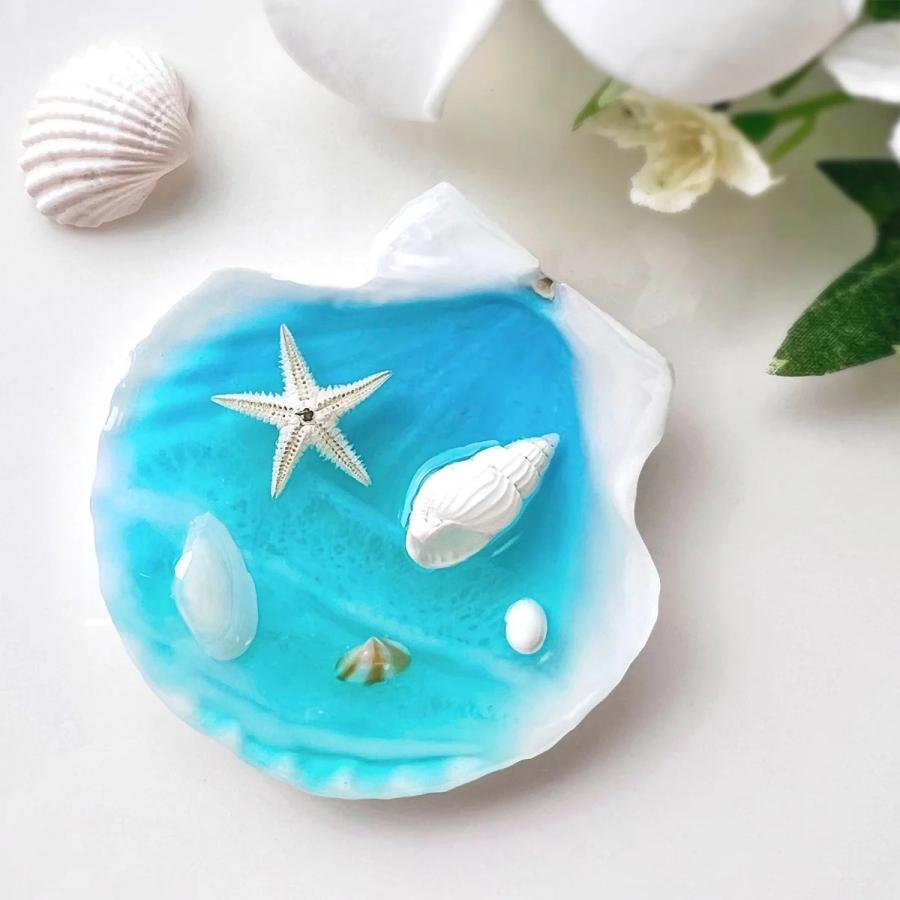 自然素材 5枚 本物のホタテ貝 ちょこっと大きめ♪ 5.5cm 6cm