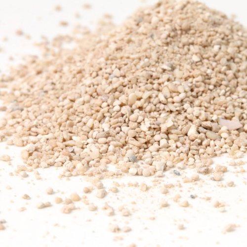 封入素材 20g （1mm程度） サンゴのかけらと海の砂 : 隠れ工房