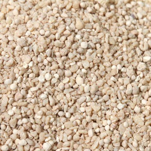 封入素材 20g （1mm程度） サンゴのかけらと海の砂 : 隠れ工房