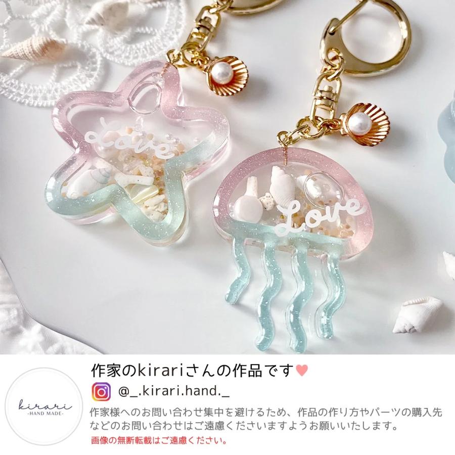 自然素材 20g 本物の小さなサンゴのかけらと海の石 レジン封入素材  