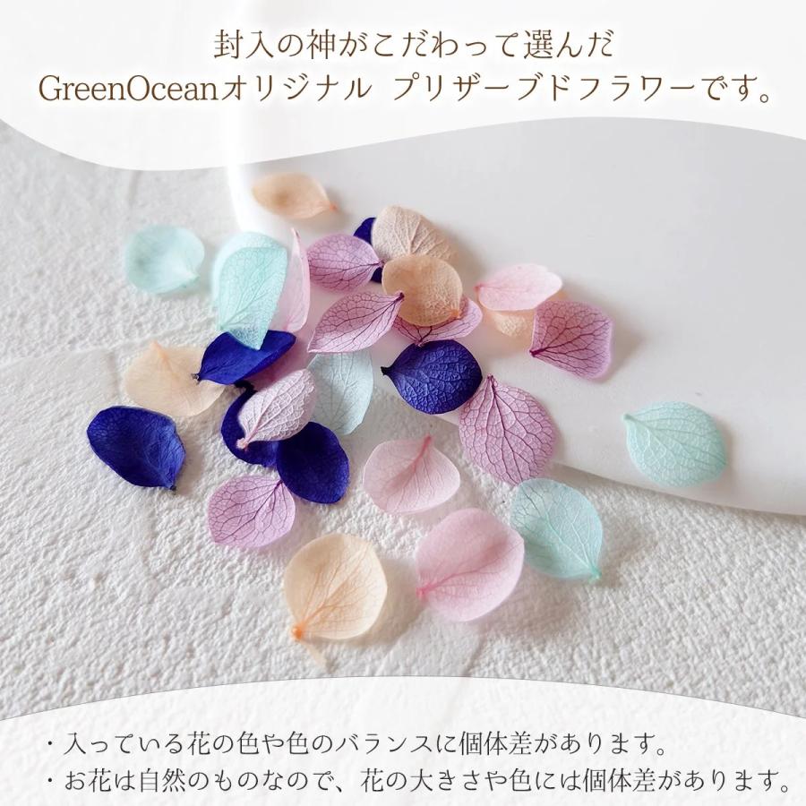 隠れ工房GreenOcean ドライフラワー 約30枚 カラフルふわふわあじさい