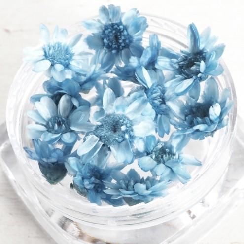 ドライフラワー プチサイズ15輪 単色 スターフラワー クール 小花 プリザーブドフラワー 花材 Flower ブルー 青 極小 B 4791 隠れ工房 Greenocean 通販 Yahoo ショッピング