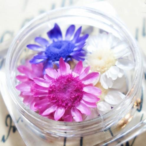 ドライフラワー 9輪 3色ミックス スターフラワー 雅 小花 花材 Flower 濃いピンク 白 ホワイト 紫 むらさき パープル バイオレット B 4816 隠れ工房 Greenocean 通販 Yahoo ショッピング