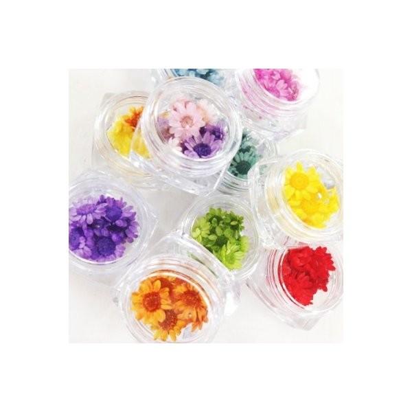 ドライフラワー スタッフおまかせ スターフラワー12ケース 小花 プリザーブドフラワー 花材 Flower 福袋 春 D 5503 隠れ工房 Greenocean 通販 Yahoo ショッピング