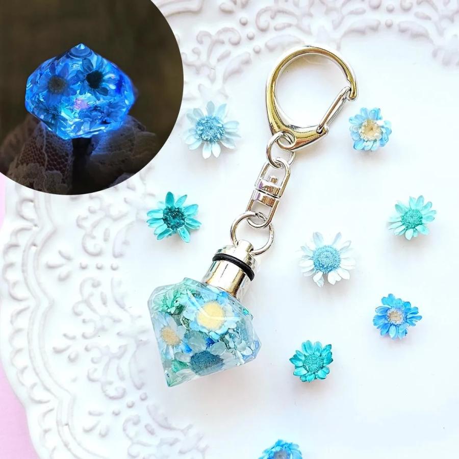 隠れ工房GreenOcean □ドライフラワー スターフラワー12ケース カラー