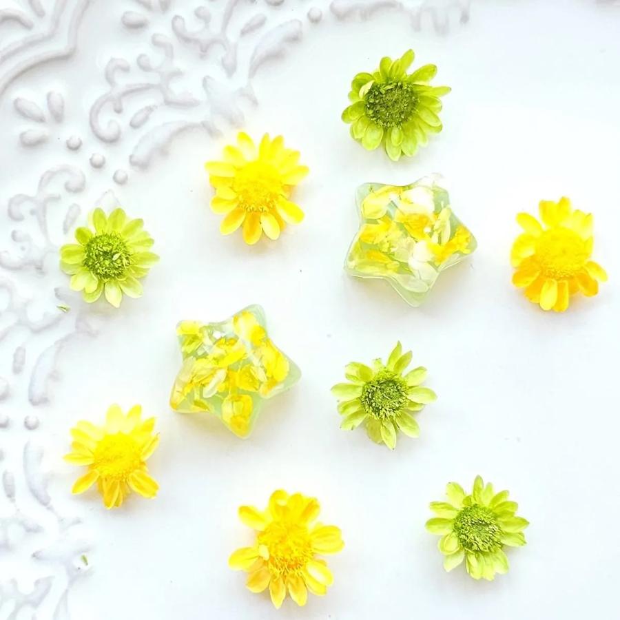 ☆値下げ☆アートフラワー　詰め合わせ11ケース 隠れ工房GreenOcean □ドライフラワー スターフラワー12ケース カラー