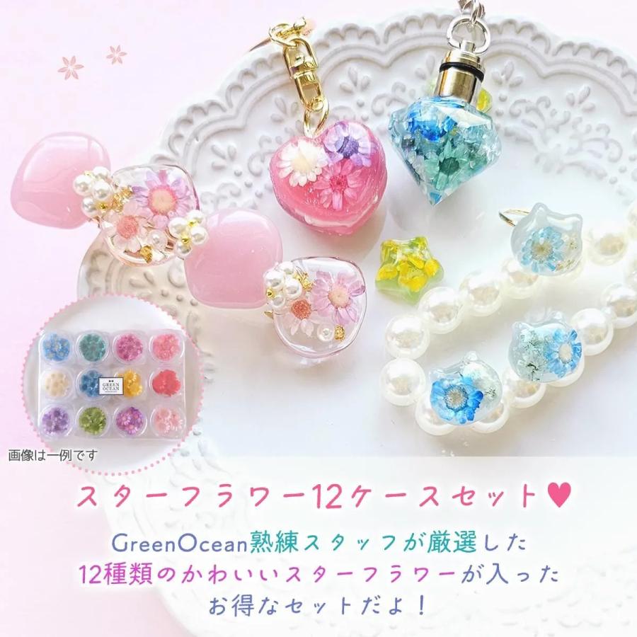 隠れ工房GreenOcean □ドライフラワー スターフラワー12ケース カラー
