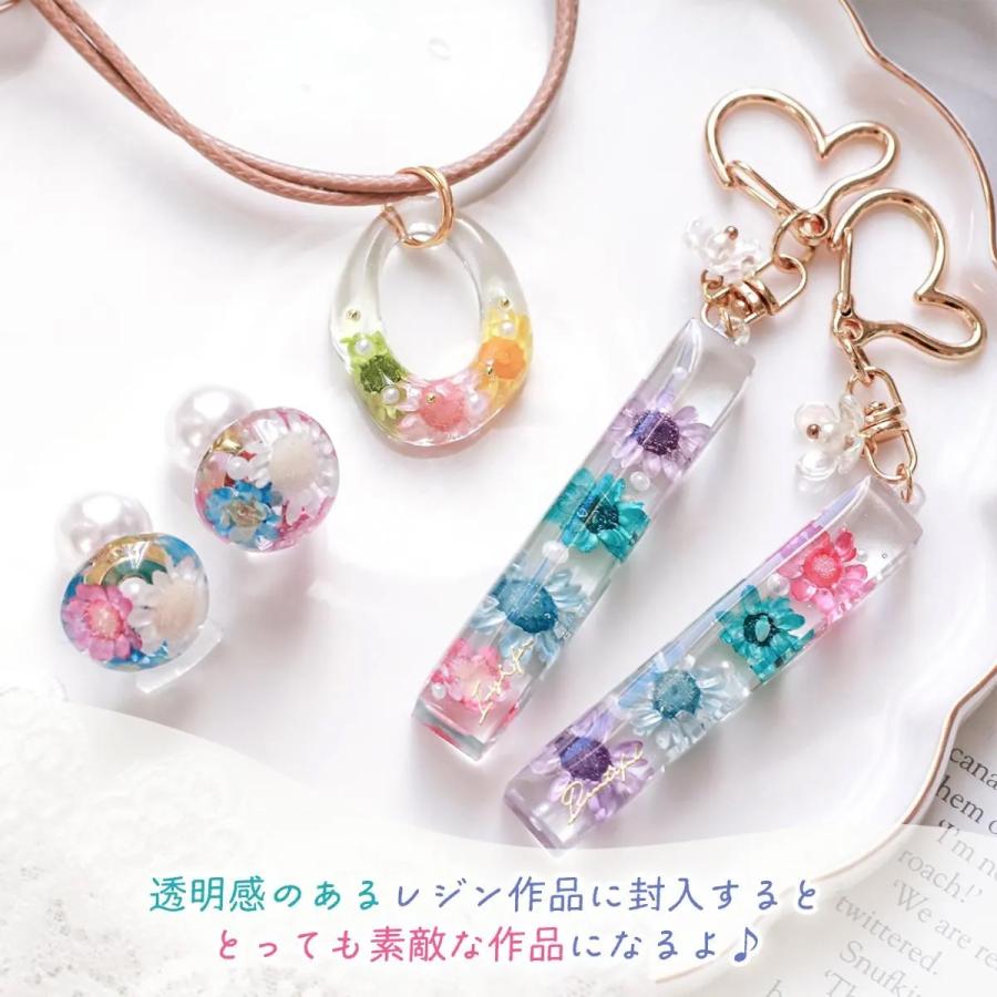隠れ工房GreenOcean □ドライフラワー スターフラワー12ケース カラー