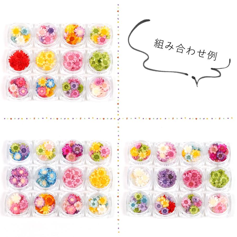 ドライフラワー スタッフおまかせ♪ スターフラワー12ケース 小花 プリザーブドフラワー 花材 flower 福袋 春 クリスマスプレゼント｜greenocean｜06