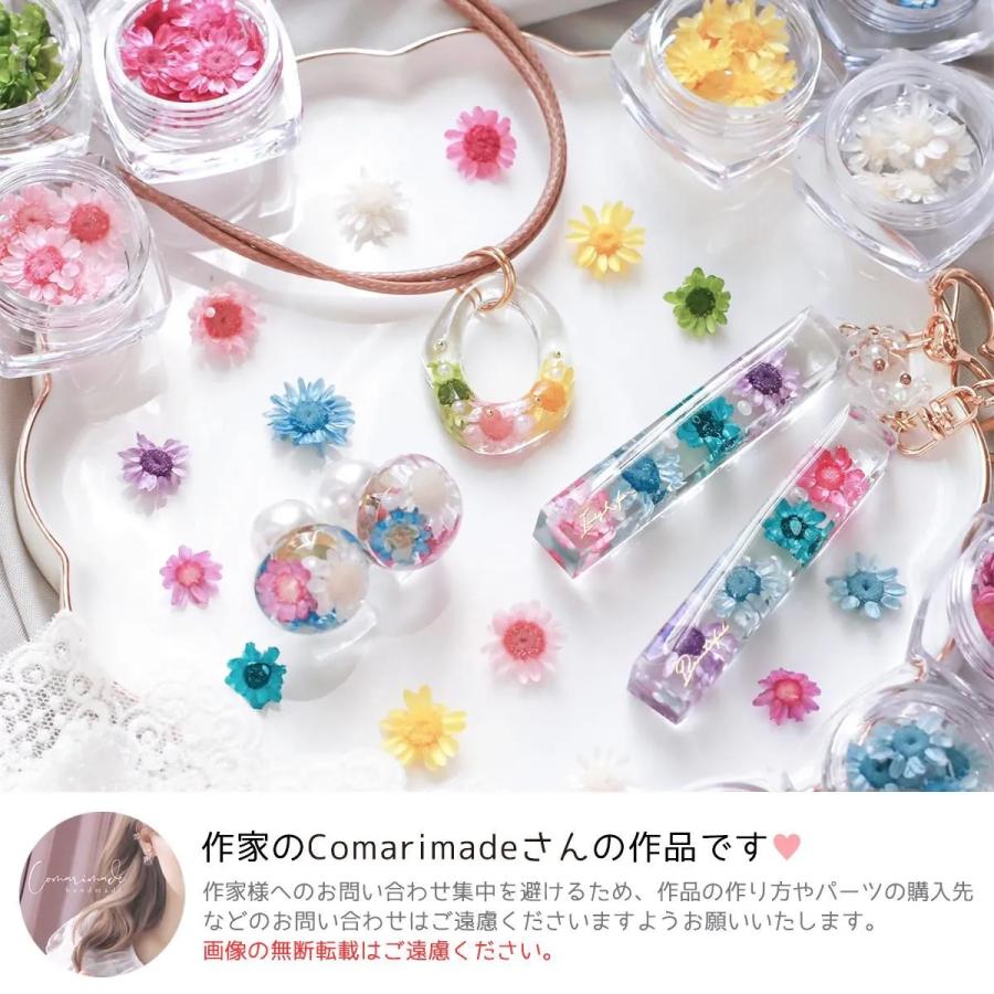 隠れ工房GreenOcean □ドライフラワー スターフラワー12ケース カラー