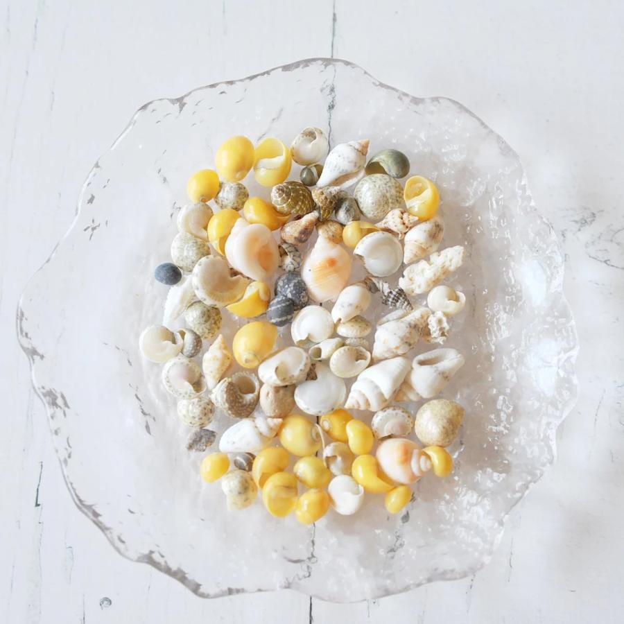 オニオオハシ　レジンヘアゴム　貝殻　サマーグリーン オニオオハシ レジンヘアゴム 貝殻 サマーグリーン オニオオハシ