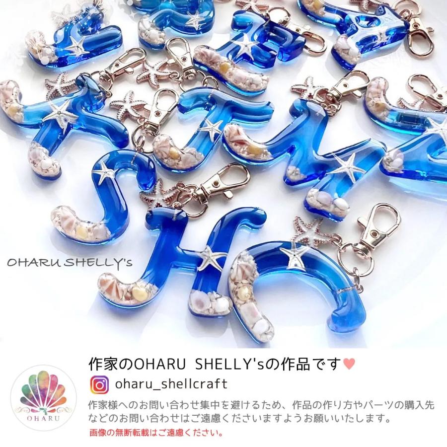 隠れ工房GreenOcean 自然素材 10g 本物の小さな貝殻ミックス 極小