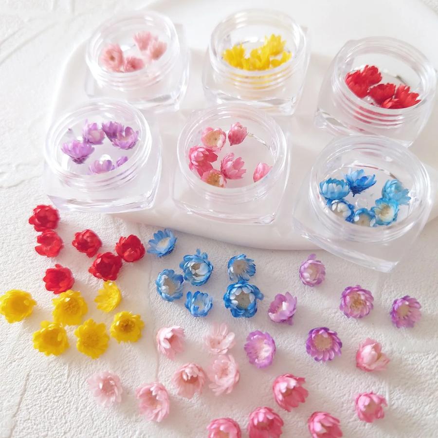 隠れ工房GreenOcean □福袋 6色36輪 カラーお任せ(^^♪つぼみが可愛い