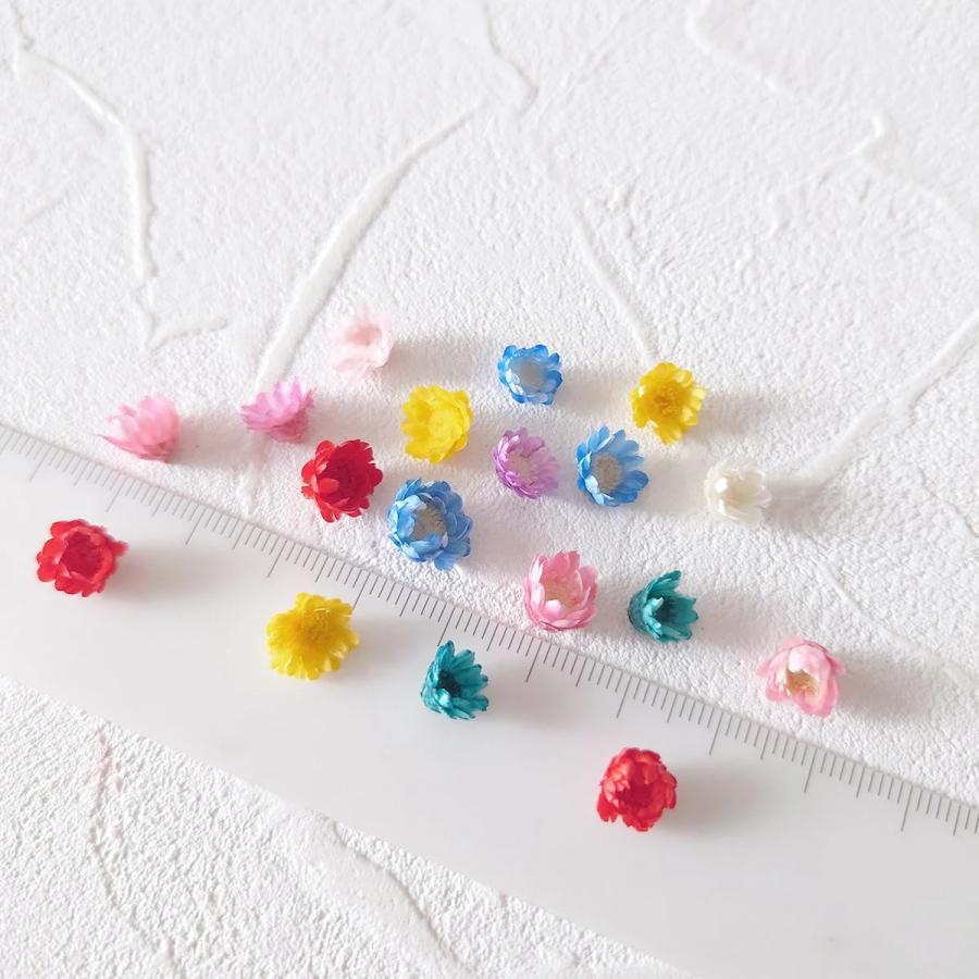 隠れ工房GreenOcean □福袋 6色36輪 カラーお任せ(^^♪つぼみが可愛い