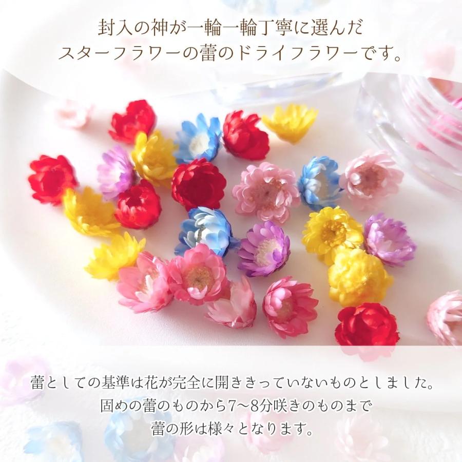 隠れ工房GreenOcean □福袋 6色36輪 カラーお任せ(^^♪つぼみが可愛い