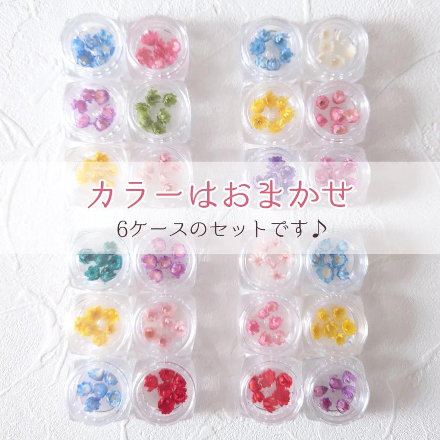 隠れ工房GreenOcean □福袋 6色36輪 カラーお任せ(^^♪つぼみが可愛い