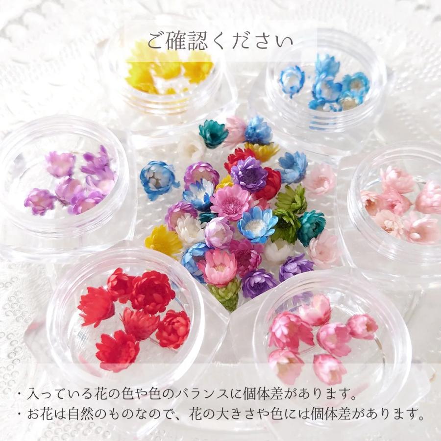 隠れ工房GreenOcean □福袋 6色36輪 カラーお任せ(^^♪つぼみが可愛い