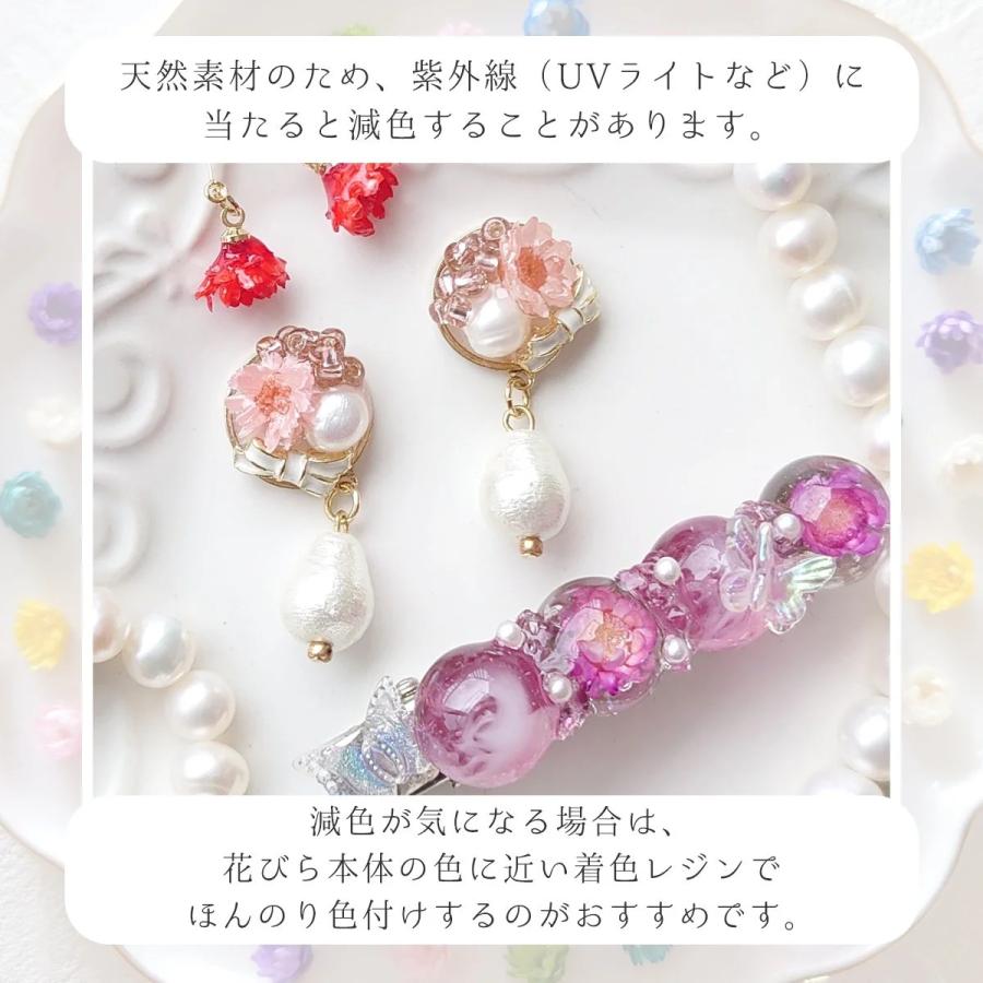 隠れ工房GreenOcean □福袋 6色36輪 カラーお任せ(^^♪つぼみが可愛い
