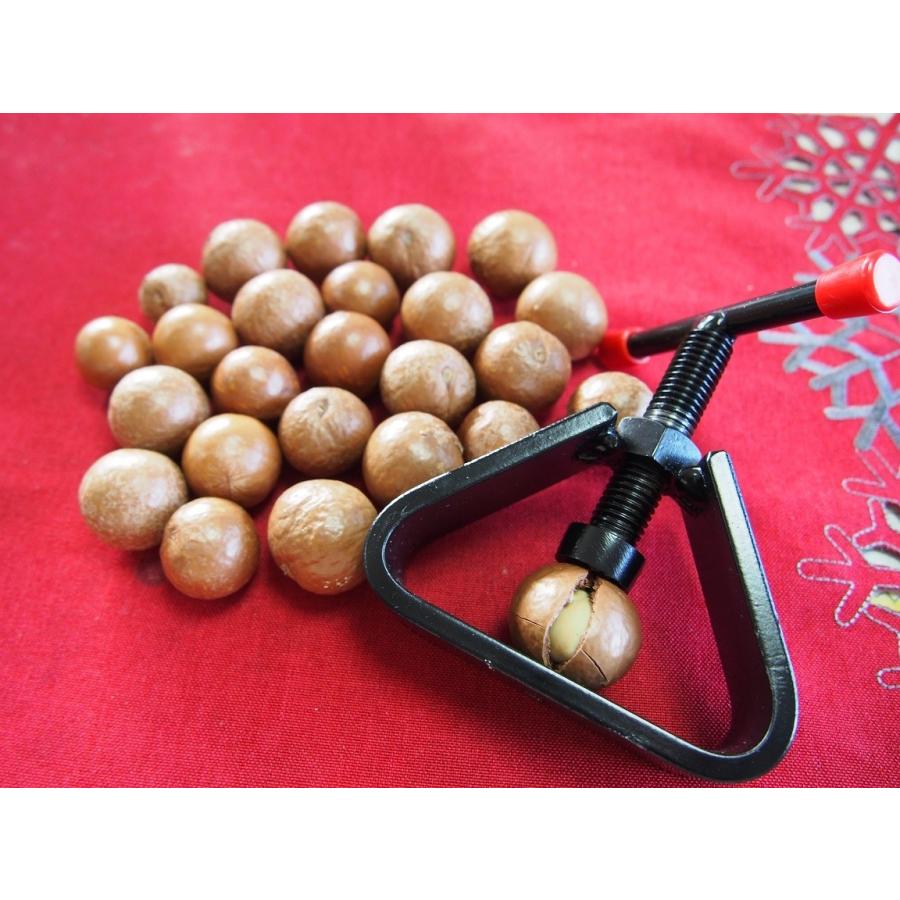 殻付きマカダミアナッツ（フレッシュ）500g　ニュージーランド産「生」ノンロースト　無塩 | オーガニック | 03