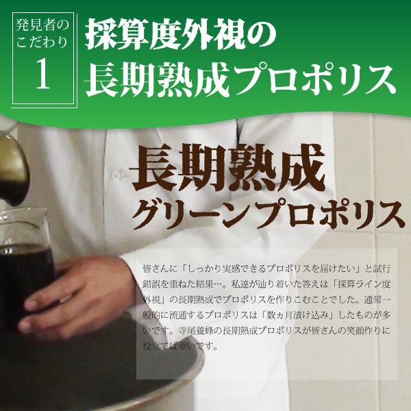 プロポリス エキス 液体 原液 グリーンプロポリス 恵 30ml 寺尾養蜂