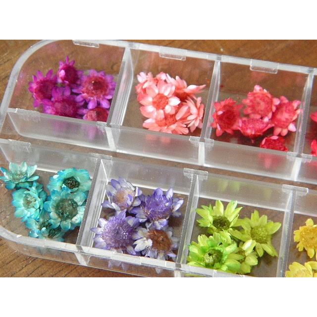 ドライフラワーの12色アソート 花 レジンクラフト 1804 assort05