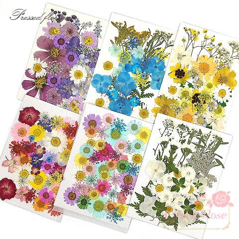 ギフト プレゼント ご褒美 押し花アソート 全6タイプ 1枚 ハーバリウム レジンクラフト 花