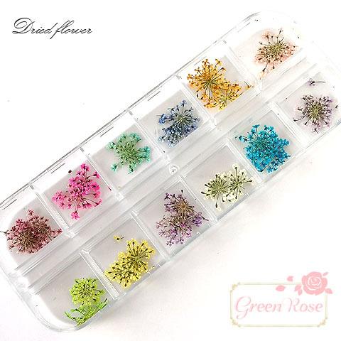 ケース入り ドライフラワーアソート 1ケース ハーバリウム レジンクラフト ネイル 押し花 アクセサリーパーツ 材料