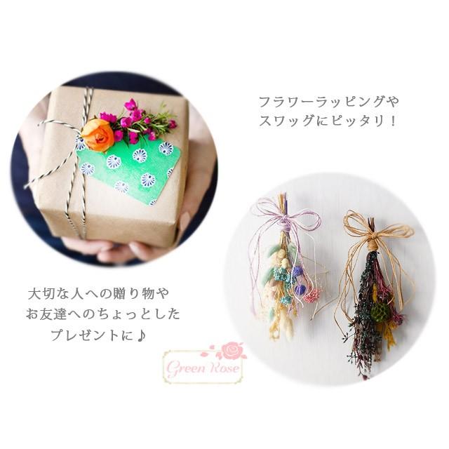 ラフィア紐 6色セット 1812 ラッピング ナチュラルロープ 紐 アクセサリー 雑貨 服飾 資材 材料 Cord23 Cord23 Greenroseネットショップyumi 通販 Yahoo ショッピング
