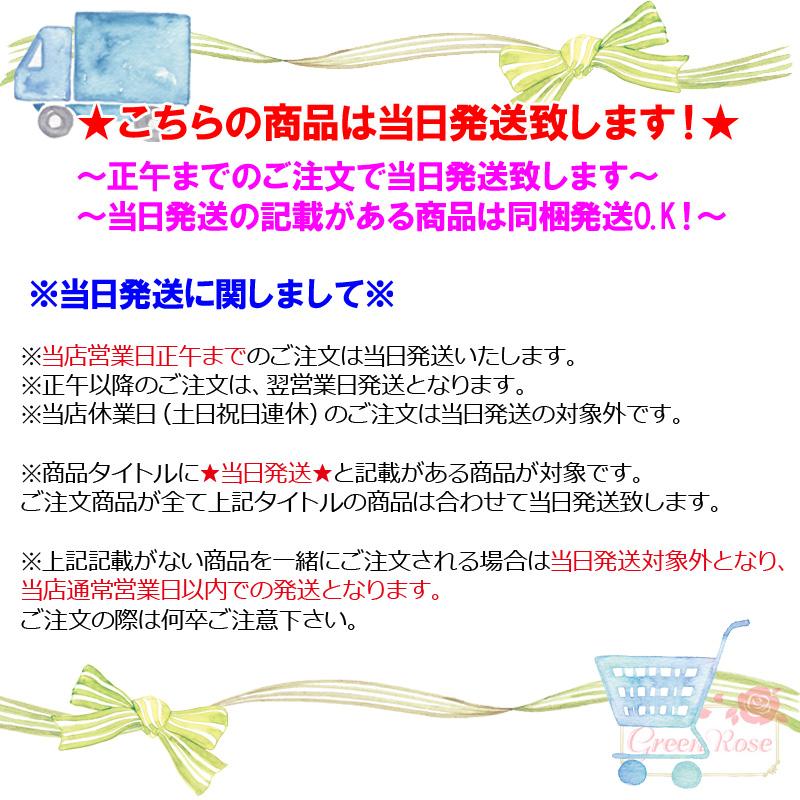 天然石 ビーズ ミックス ランダム お試しパック 5ペア 10個入り 2207 fuku47 当日発送｜greenrosenetshopyumi｜06