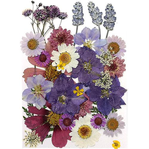 押し花 素材 ミックス アソート【2441】 押し花 ミックス パープル系 14×10cmサイズ 1枚 2209 当日発送 pf28