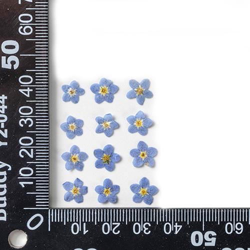 レジンヘアゴム　紫陽花　勿忘草　ブルー　2連　綺麗個性的　ビジュー2 レジンヘアゴム 紫陽花 勿忘草 ブルー 2連 綺麗個性的 ビジュー2