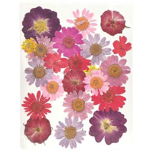 押し花 ミックス ピンク パープル レッド フラワー 花 ドライフラワー