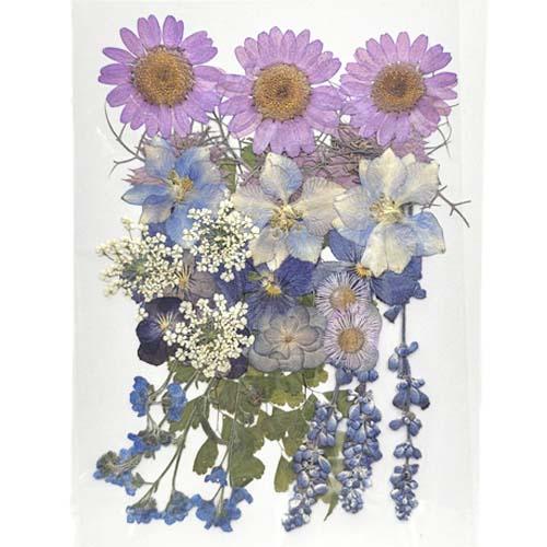 押し花 素材 ミックス アソート【2603】 押し花 ミックス ピンク パープル レッド フラワー 花 ドライフラワー