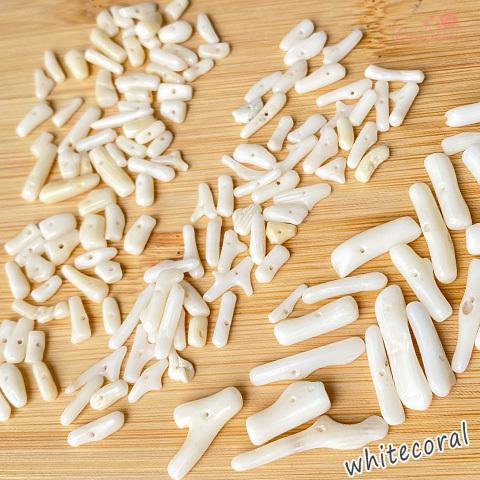 白 ホワイト 珊瑚 さんご サンゴ ビーズ ツララ キバ 10g 2204 sb-317