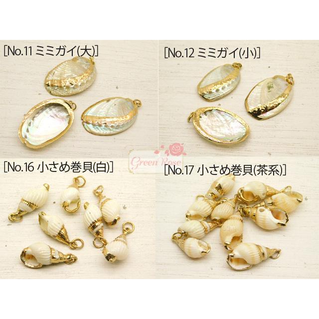 海からの贈り物 天然の貝殻チャーム 巻貝二枚貝 全18種 1個 1704 貝 海 チャーム Sch 06 23 Sch 06 23 Greenroseネットショップyumi 通販 Yahoo ショッピング
