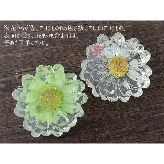 押し花入りアクリルフラワーパーツ 全2色 2個 1909 花 プラスチック