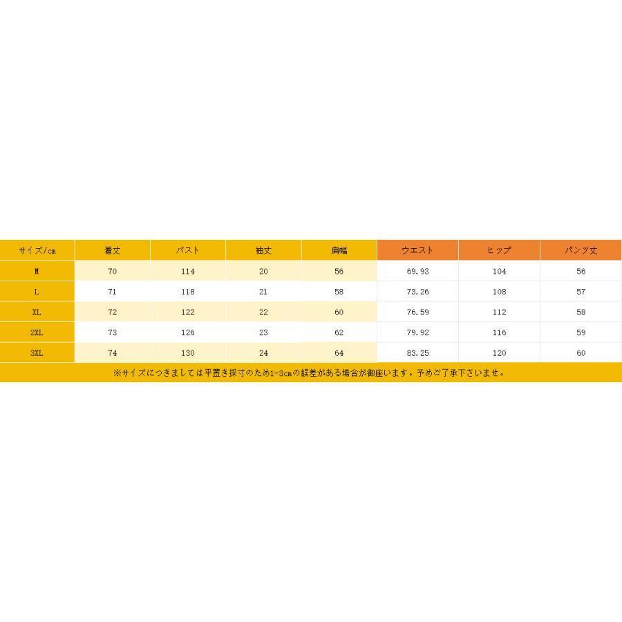 セットアップ メンズ スポーツセット 上下セット 夏 スポーツ