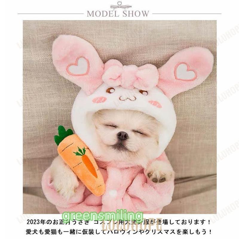 パーカー もこもこ うさぎ ボア ふわふわ 秋服 冬服 うさ耳 洋服