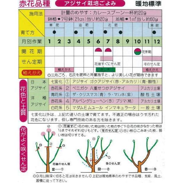 アミノール化学研究所 赤花専用 アジサイ肥料 400g 粉末 専用肥料 活力剤 みどりの時間 通販 Paypayモール