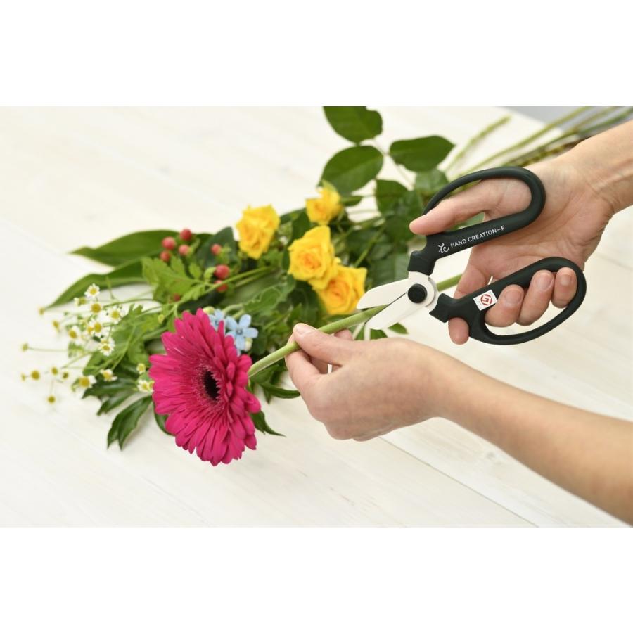 坂源（sakagen） 剪定ばさみ 日本製 ハンドクリエーション F170 ブルー