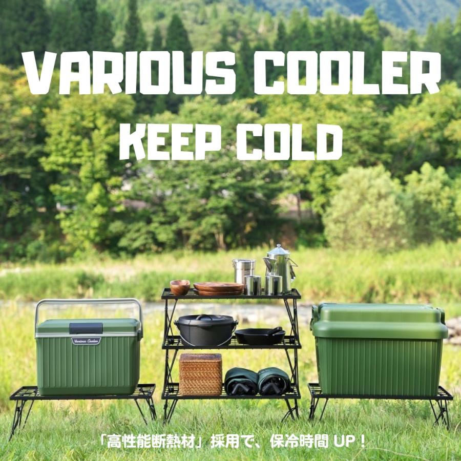 SANKA クーラーボックス 9L アウトドア キャンプ バーベキュー BBQ