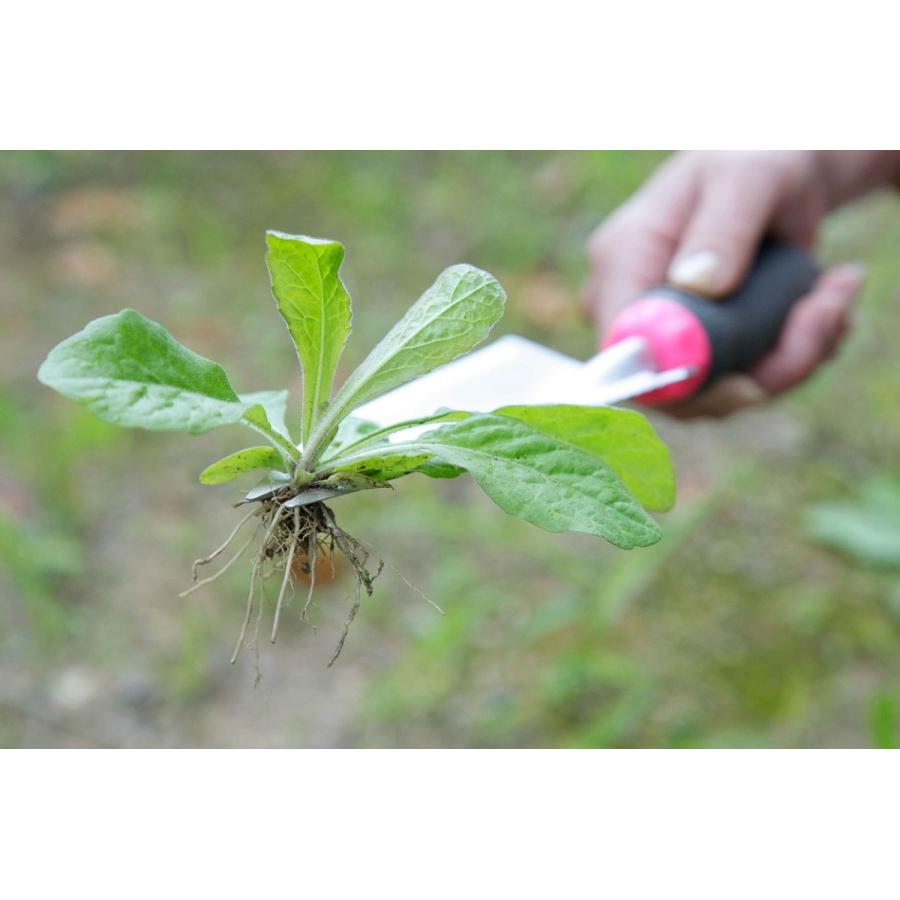 セーブインダストリー 頑丈根切りスコップ 園芸 家庭菜園 ガーデン