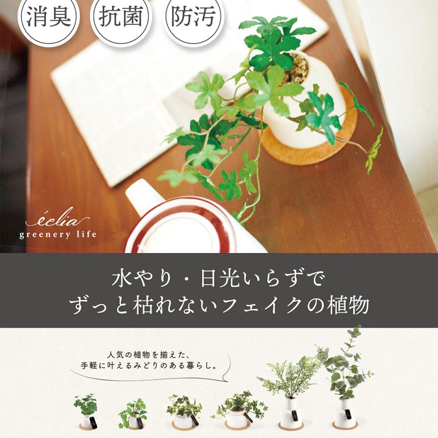 キシマ（KISHIMA） フェイクグリーン Eclia エクリア 観葉植物 CT触媒