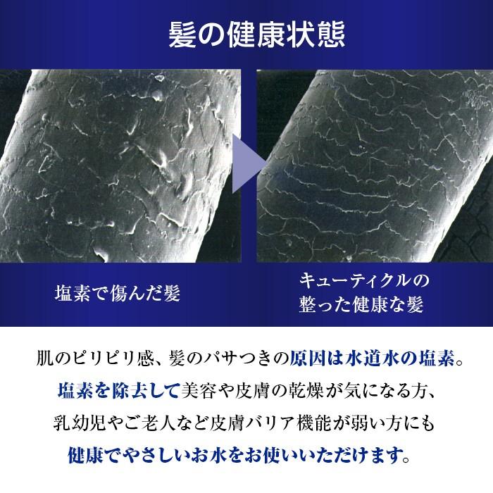 タカギ シャワーヘッド シャワー キモチイイ浄水カプセル 2個入