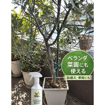 送料無料　POWER　酵素水　500ml（花・木・野菜・果物にそのまま使える天然の活力剤です）　家庭菜園　観葉植物 | 