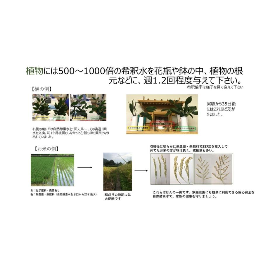 ZERO POWER 自然酵素水 500ml : グリーンウィンド・ストア - 通販