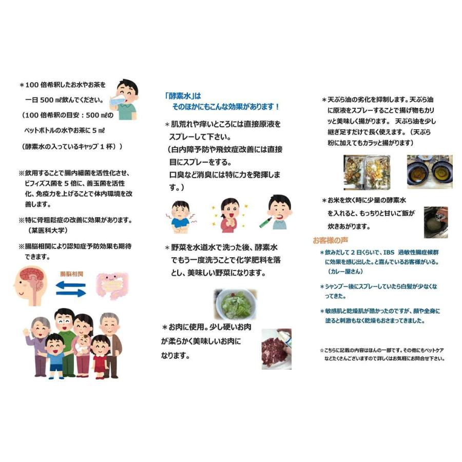 送料無料　野草酵素水　健（すこやか）　１リットル　濃縮タイプ　100倍希釈で100リットル分 |  | 02