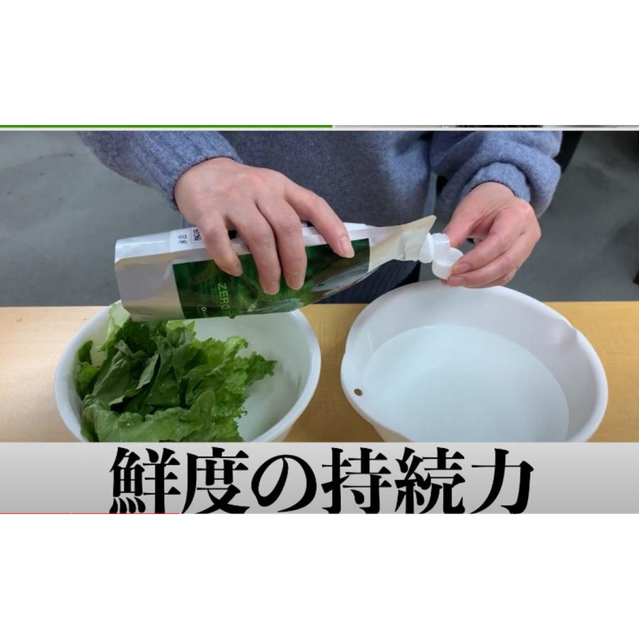 送料無料 ZERO POWER 自然酵素水と野草酵素水 健（すこやか）のセット 